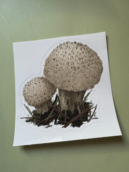 Puffball Mushroom Sticker