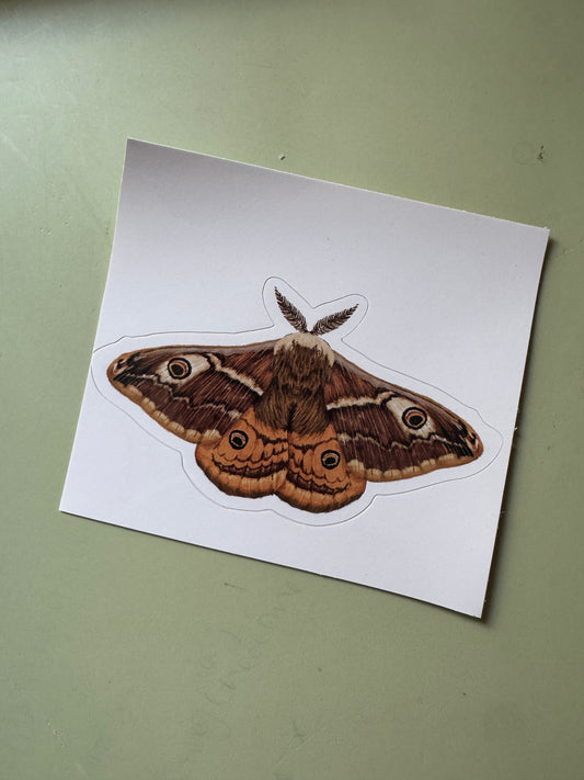 Emperor Moth Vinyl Sticker