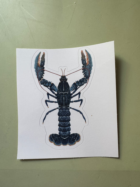 Common European Lobster Vinyl Sticker