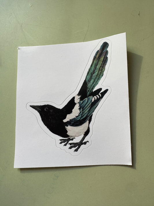 Tail-up Magpie Vinyl Sticker
