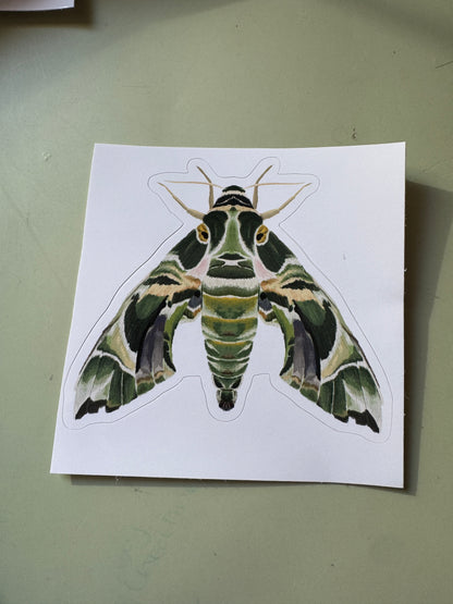 Oleander Hawk-Moth Vinyl Sticker
