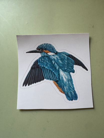 Kingfisher Vinyl Sticker