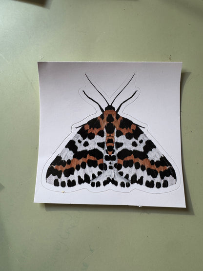 Magpie Moth Vinyl Sticker