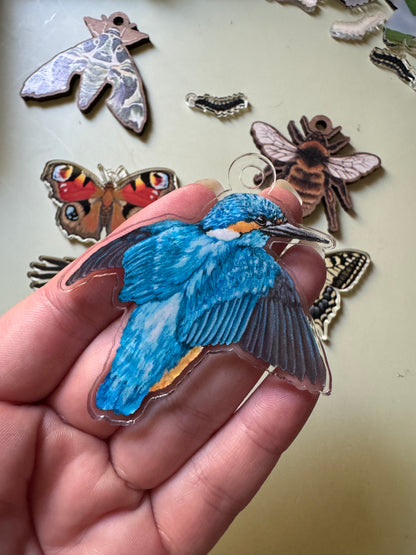 Seconds Crow, Magpie, Kingfisher, Butterfly, Moth & Bee loose charms