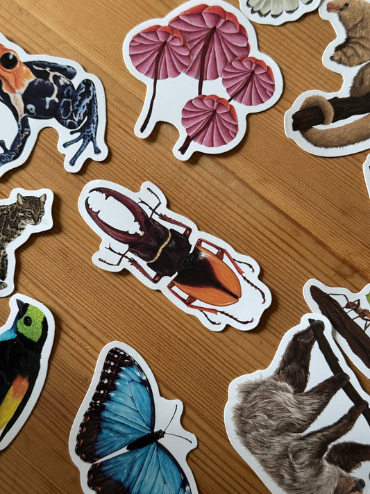 Scarab Beetle Vinyl Sticker