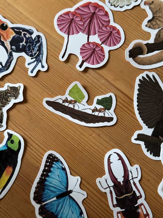 Leafcutter ants Vinyl Sticker