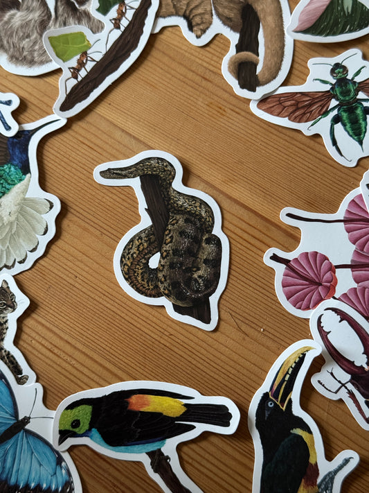 Green Anaconda Vinyl Sticker