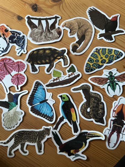 Orchid bee Vinyl Sticker