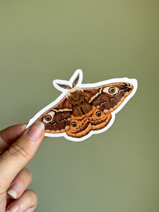 Emperor Moth Vinyl Sticker