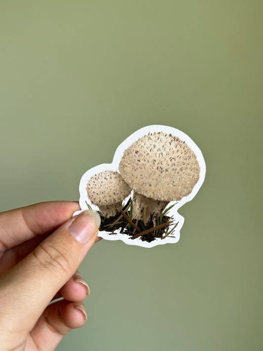 Puffball Mushroom Sticker