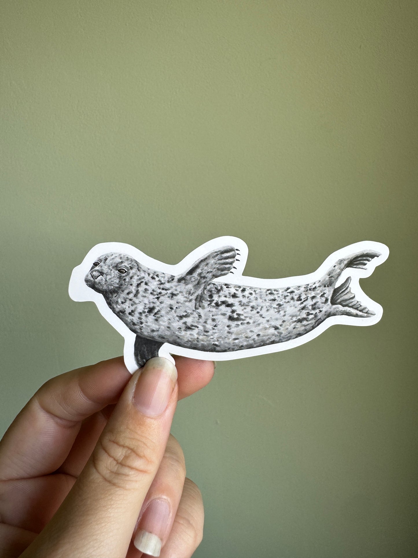 Grey Seal Vinyl Sticker