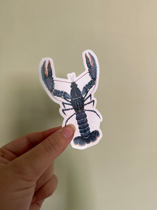 Common European Lobster Vinyl Sticker