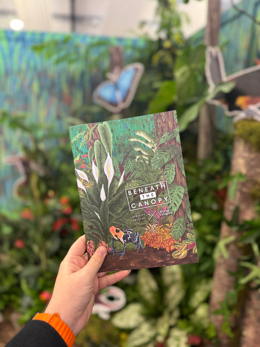 Beneath the Canopy – Limited Edition Illustrated Zine