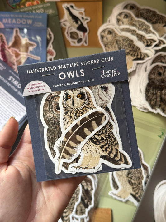 Past Sticker Subscription - June Owl Wildlife