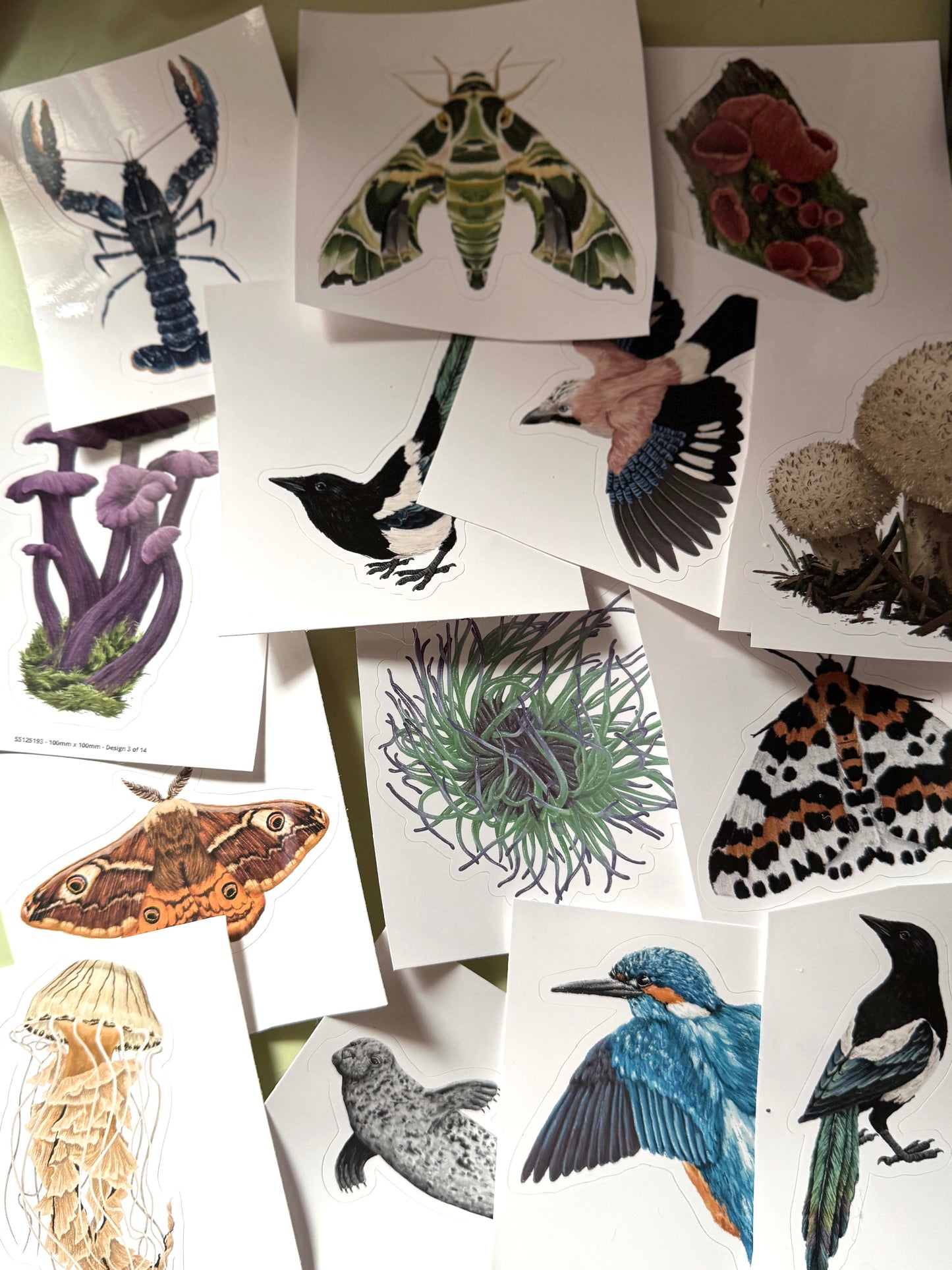 Sticker Sheet Mystery Bundle