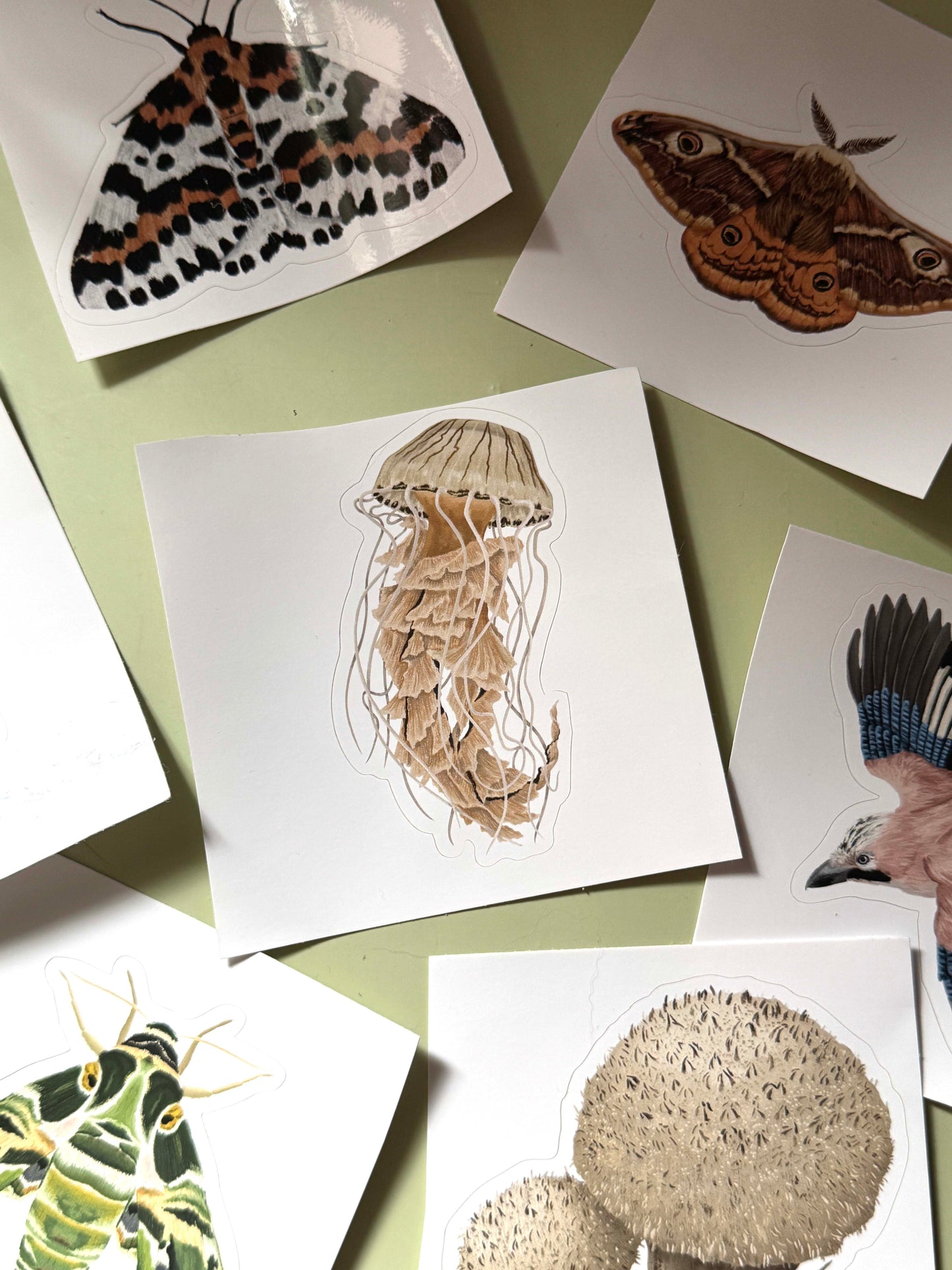 Sticker Sheet Mystery Bundle