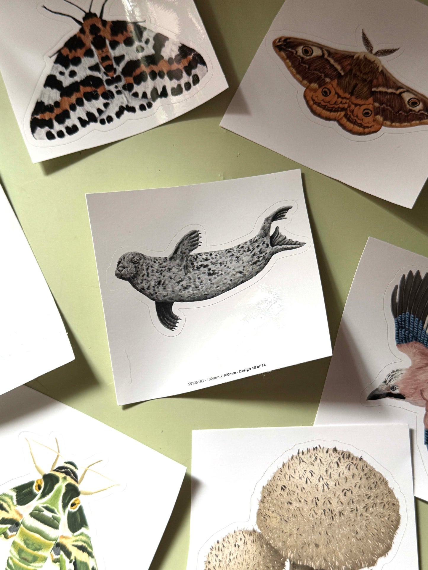 Sticker Sheet Mystery Bundle