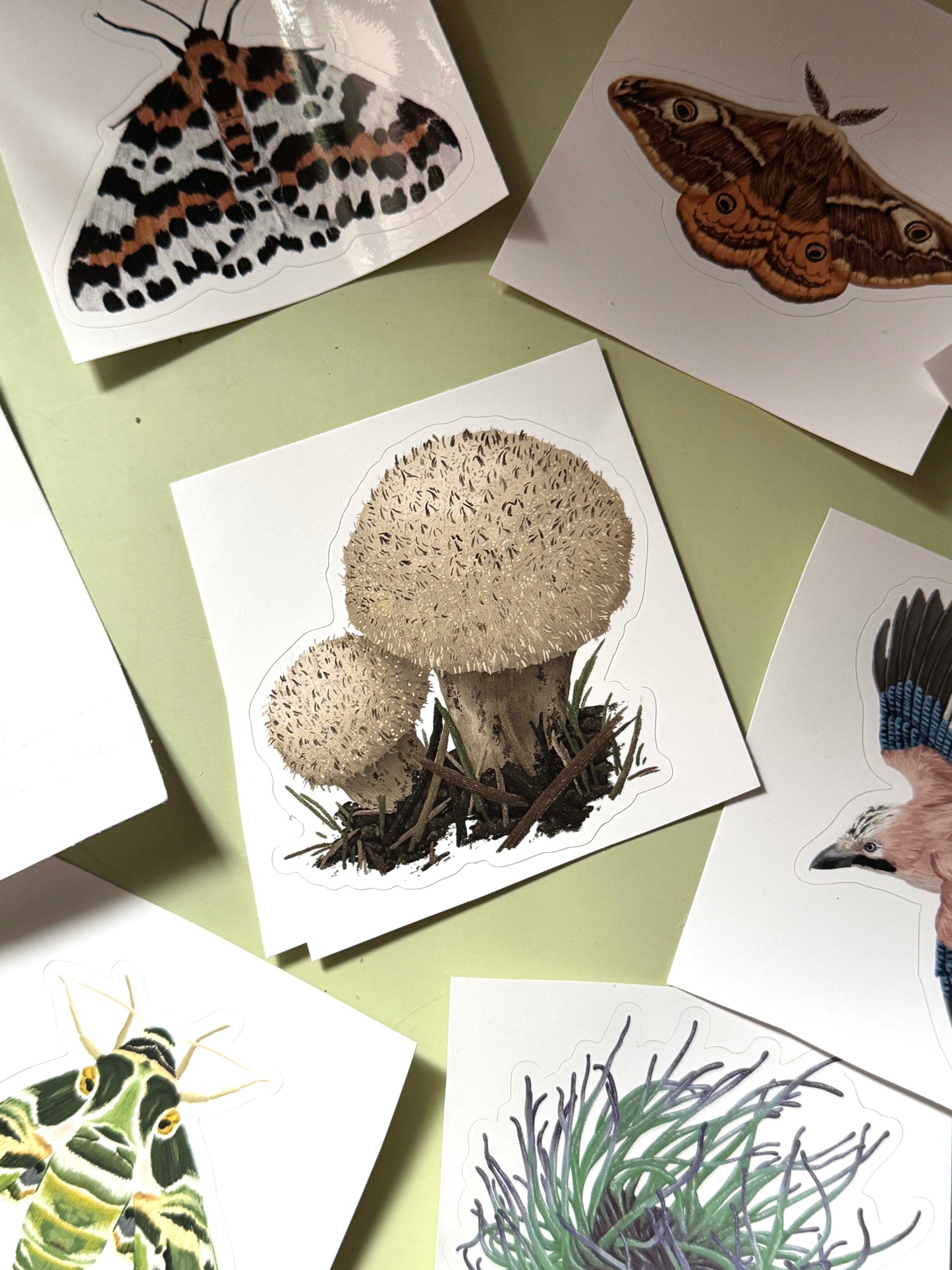 Sticker Sheet Mystery Bundle