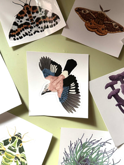 Sticker Sheet Mystery Bundle