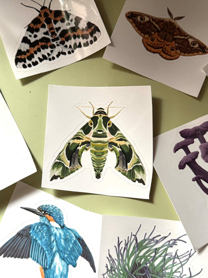 Sticker Sheet Mystery Bundle
