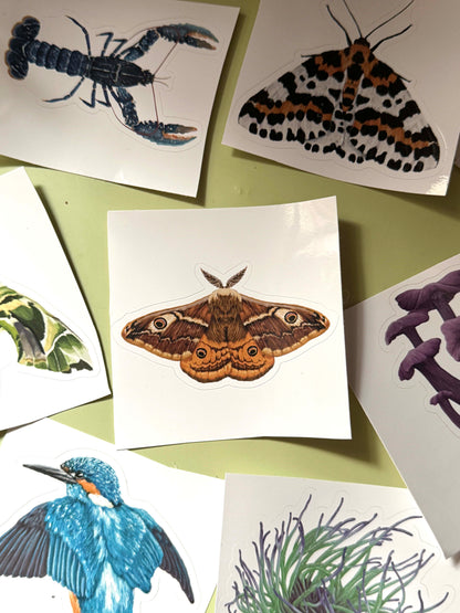 Sticker Sheet Mystery Bundle