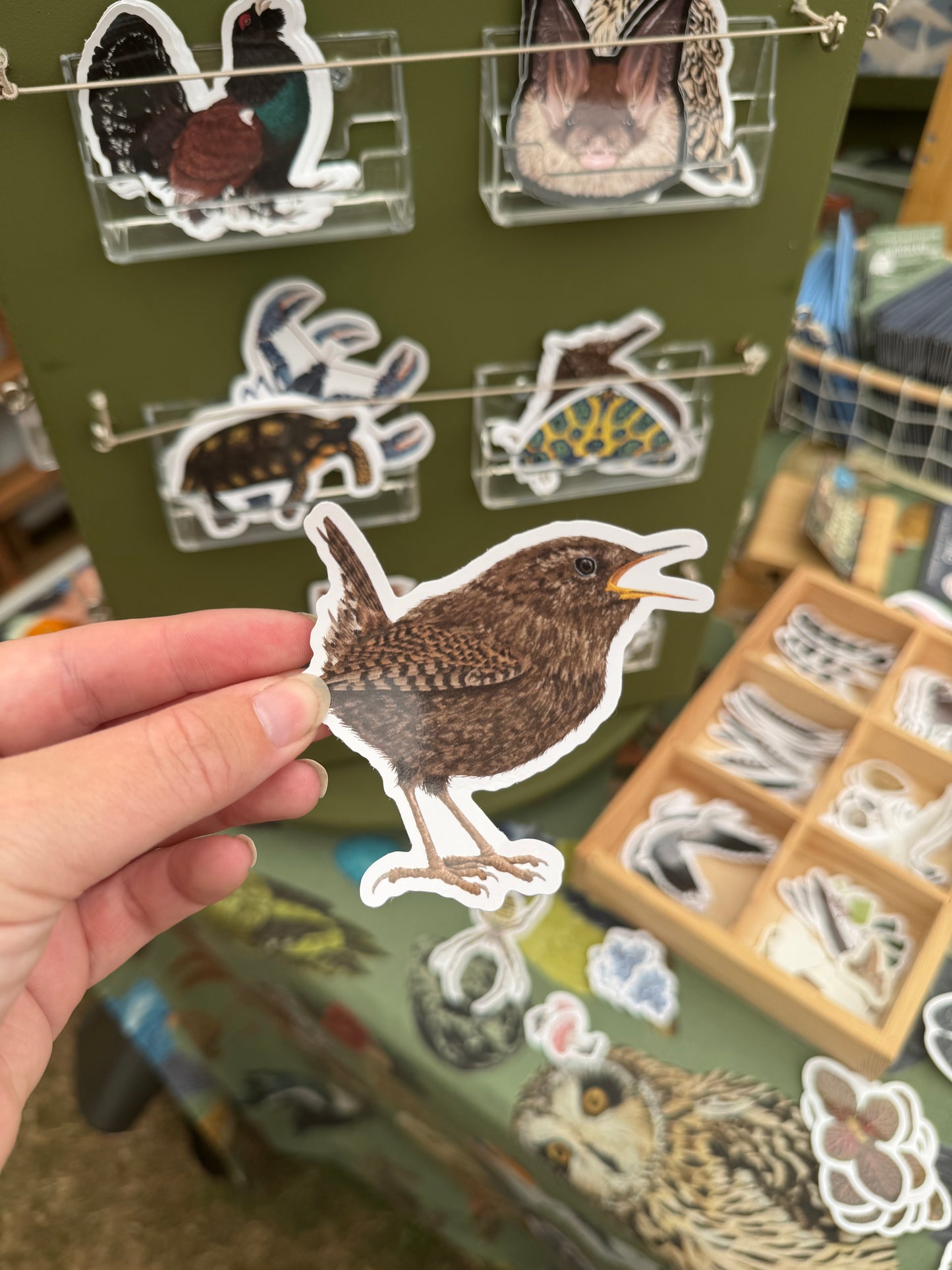 Wren Vinyl Sticker
