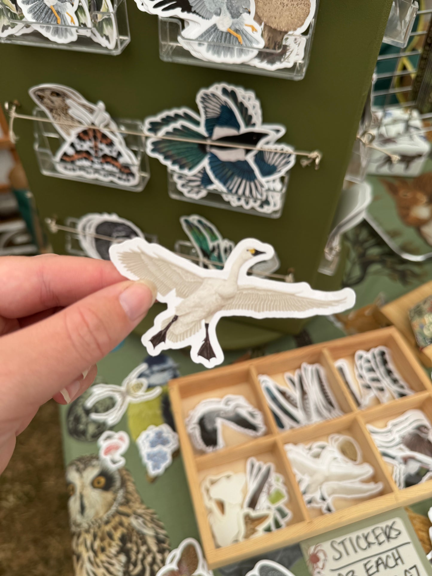 Bewick Swan Vinyl Sticker