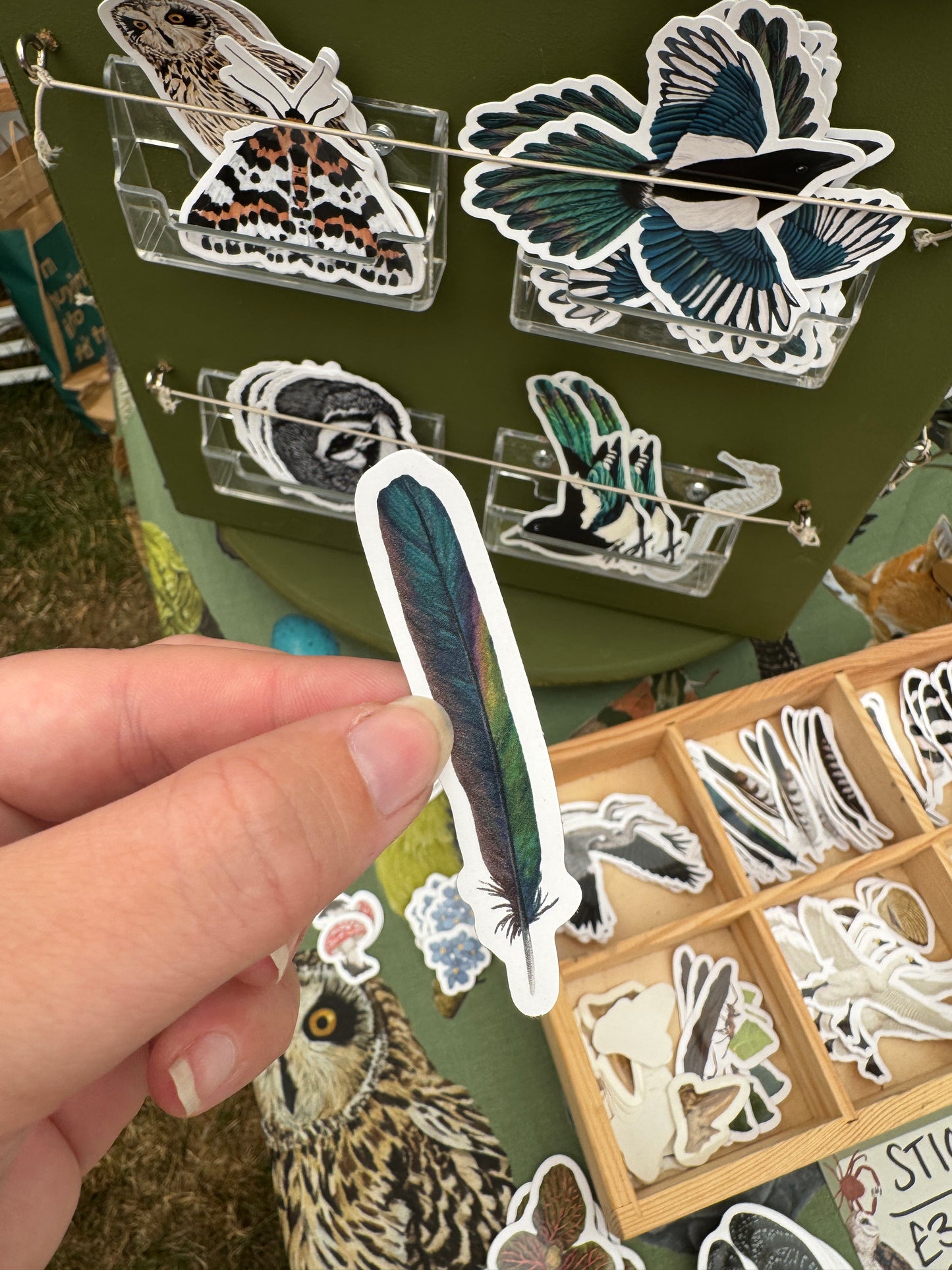 Magpie Feather Vinyl Sticker