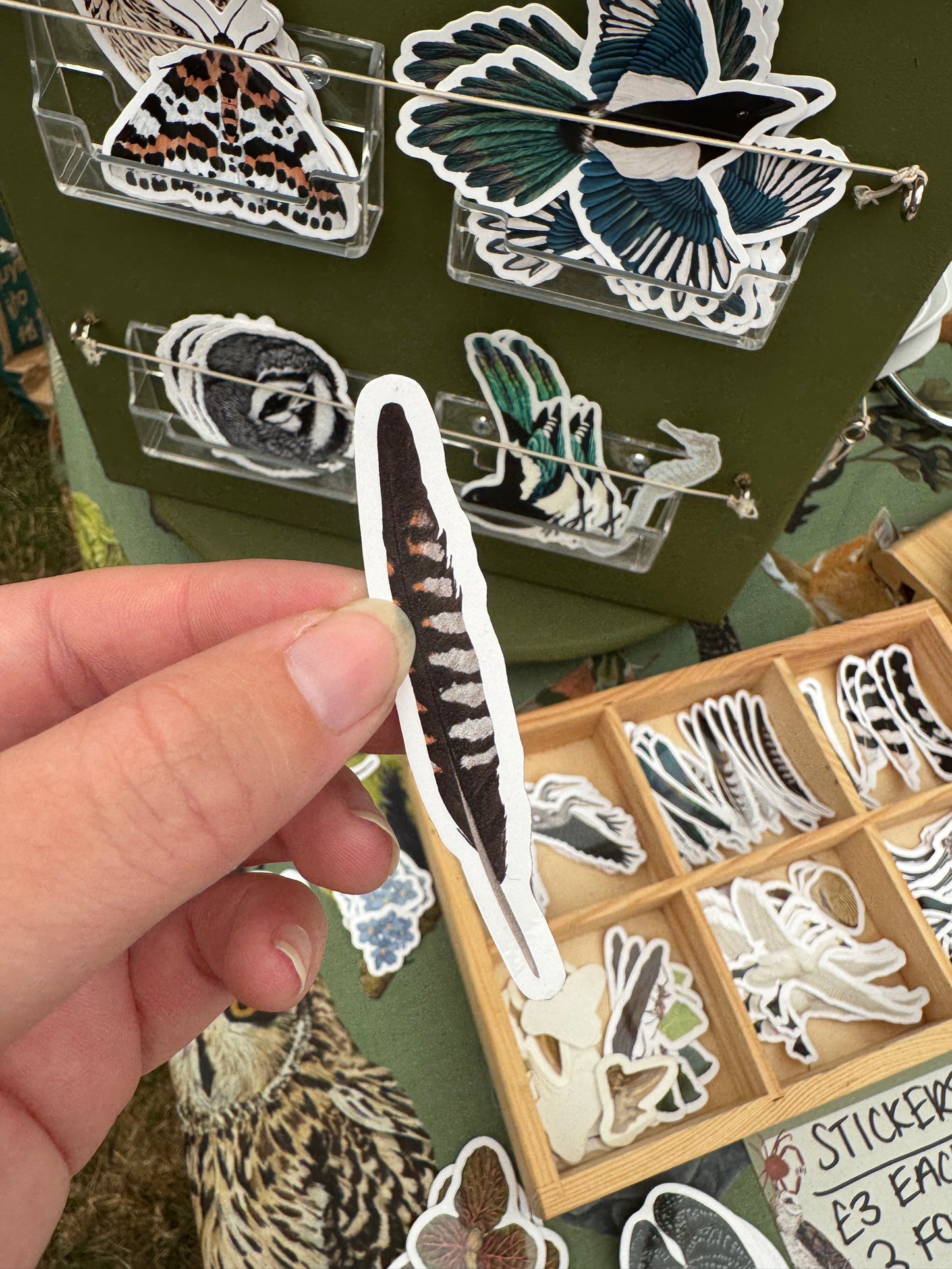 Common Cuckoo Feather Vinyl Sticker