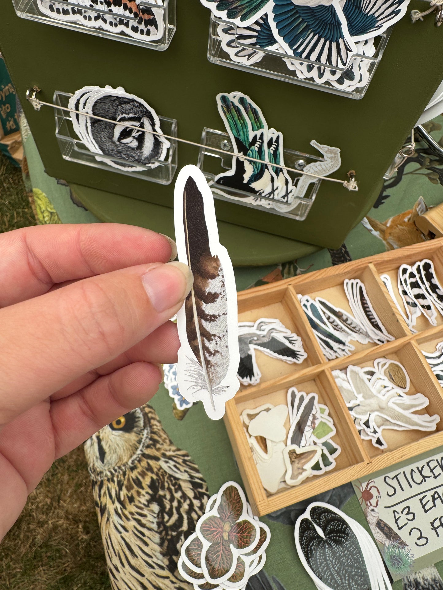 Buzzard Feather Vinyl Sticker