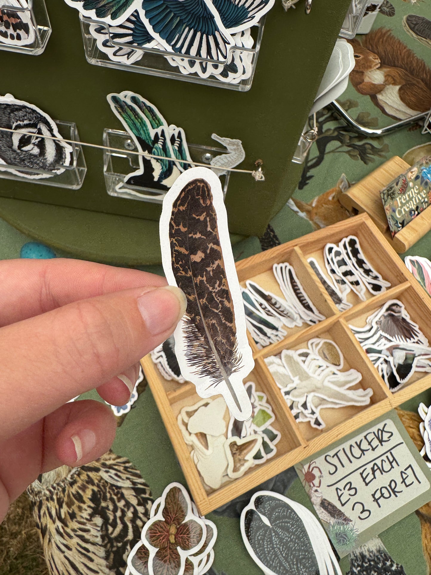 Bittern Feather Vinyl Sticker