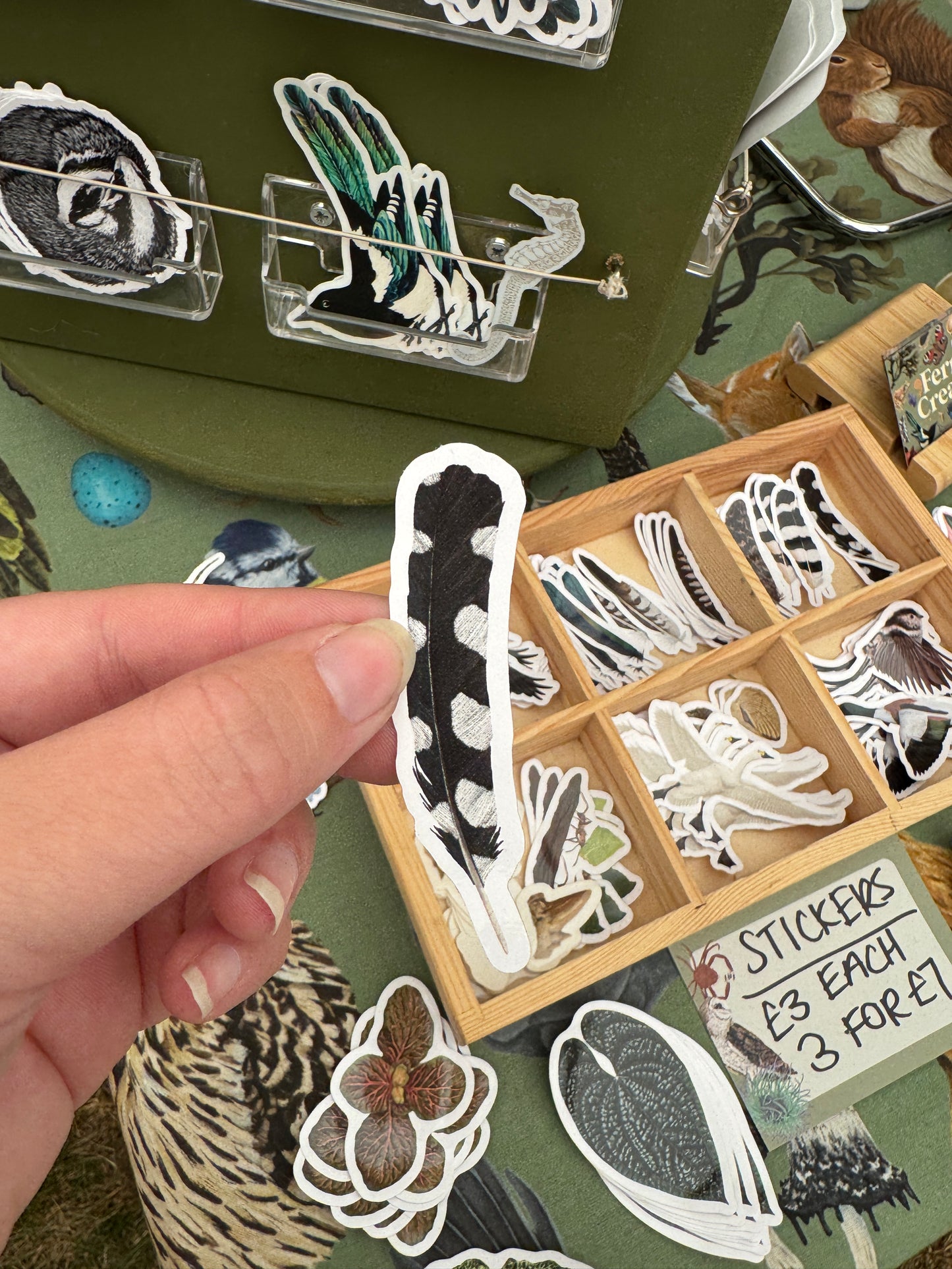 Great Spotted Woodpecker Feather Vinyl Sticker