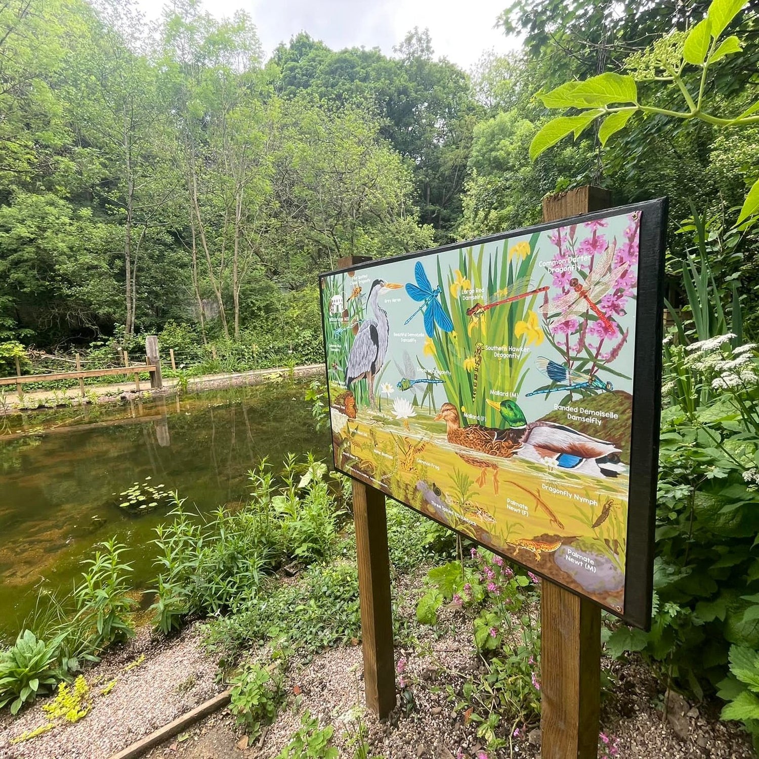 British wildlife nature reserve pond signage