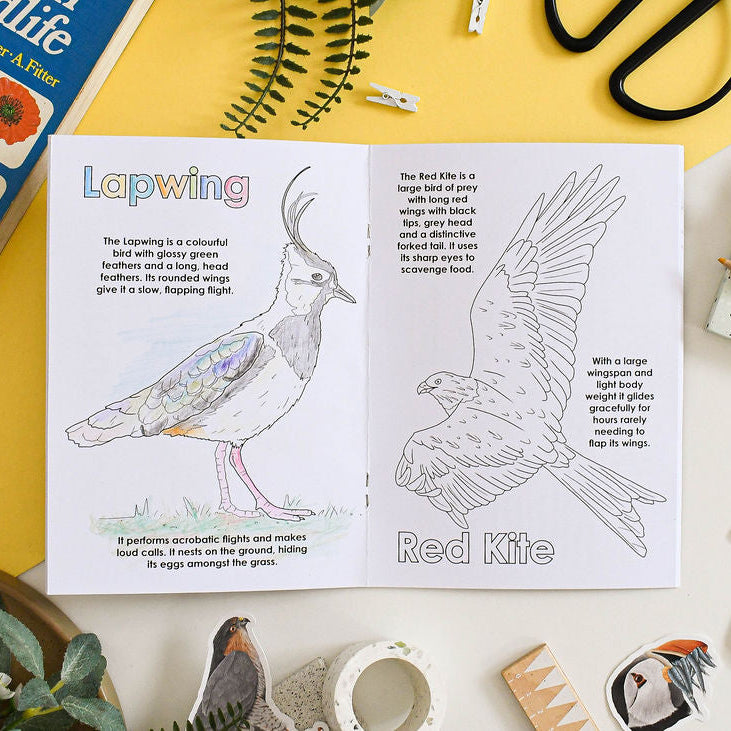 Coloring book open to pages with illustrations of a Lapwing and Red Kite, surrounded by stationery items on a yellow surface.