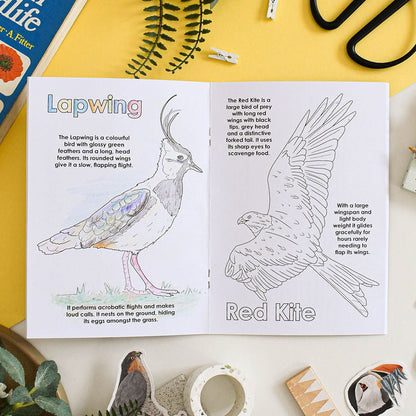 Coloring book open to pages with illustrations of a Lapwing and Red Kite, surrounded by stationery items on a yellow surface.