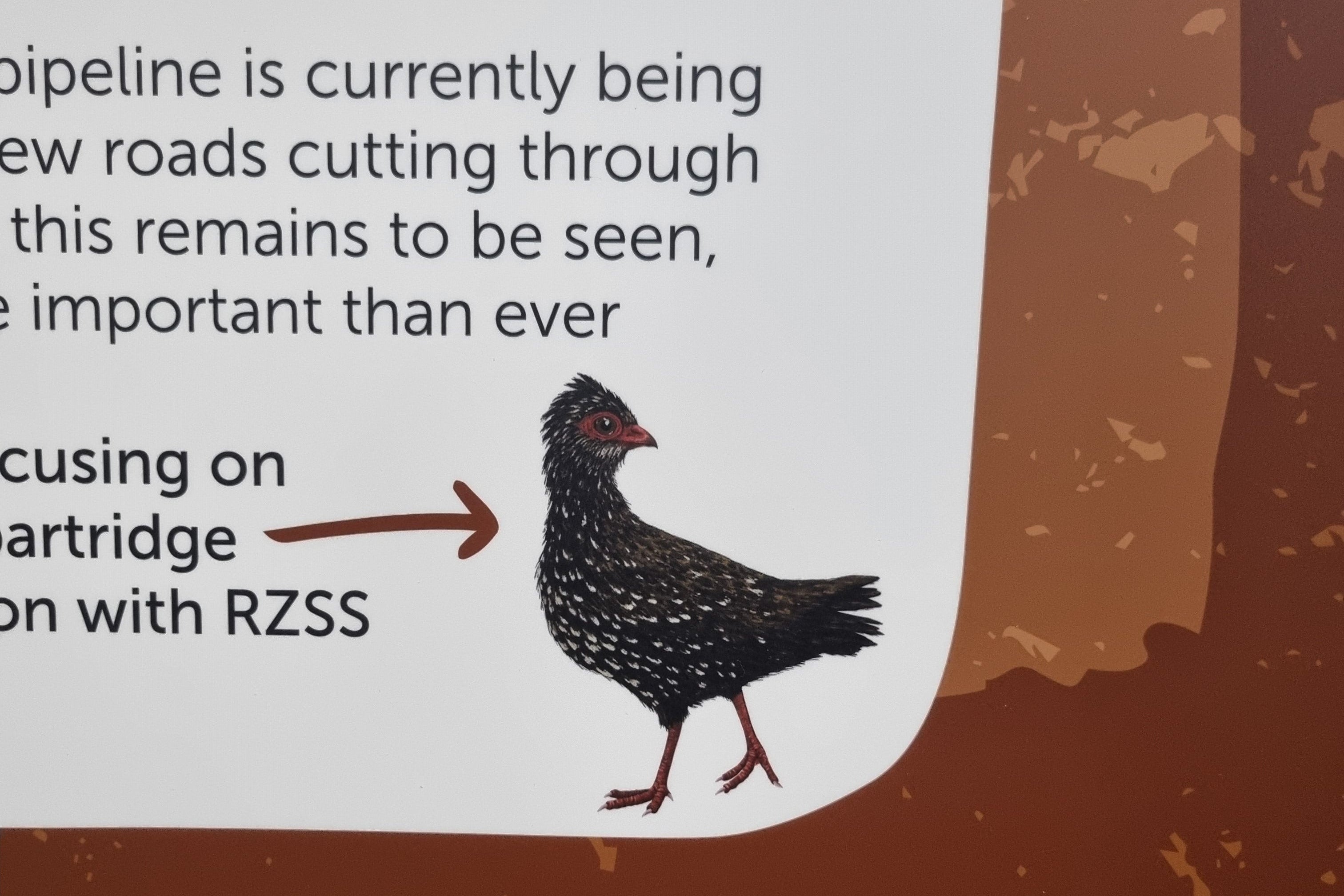 Close-up of a RZSS Sign with a nahan's Partridge illustration 