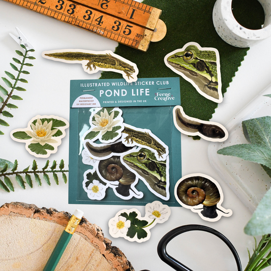 A styled flat-lay of 'Pond Life' illustrated wildlife sticker club stickers, featuring frogs, tadpoles, snails, and water lilies, arranged with a wooden ruler, scissors, a pencil, and greenery on a white surface.