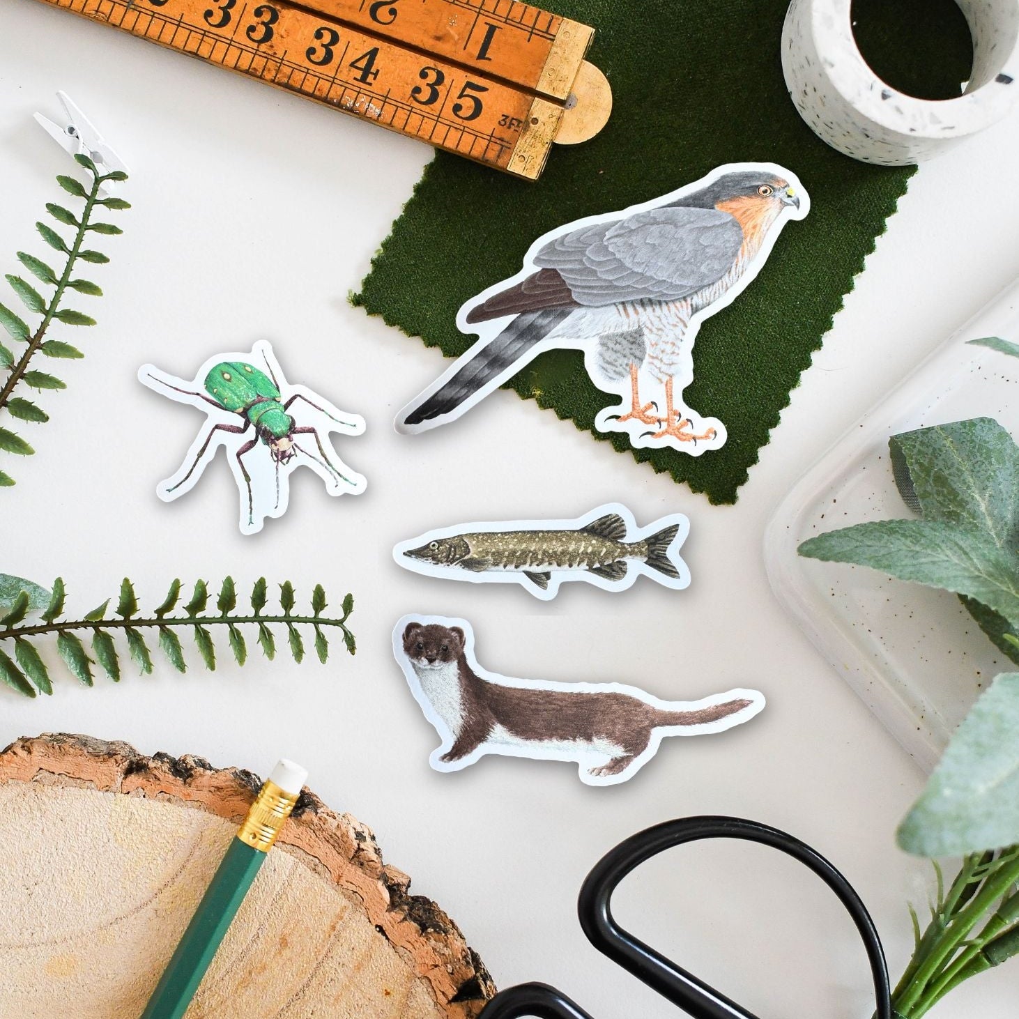 Nature-themed stickers on a white surface with a ruler, scissors, and plant cuttings.