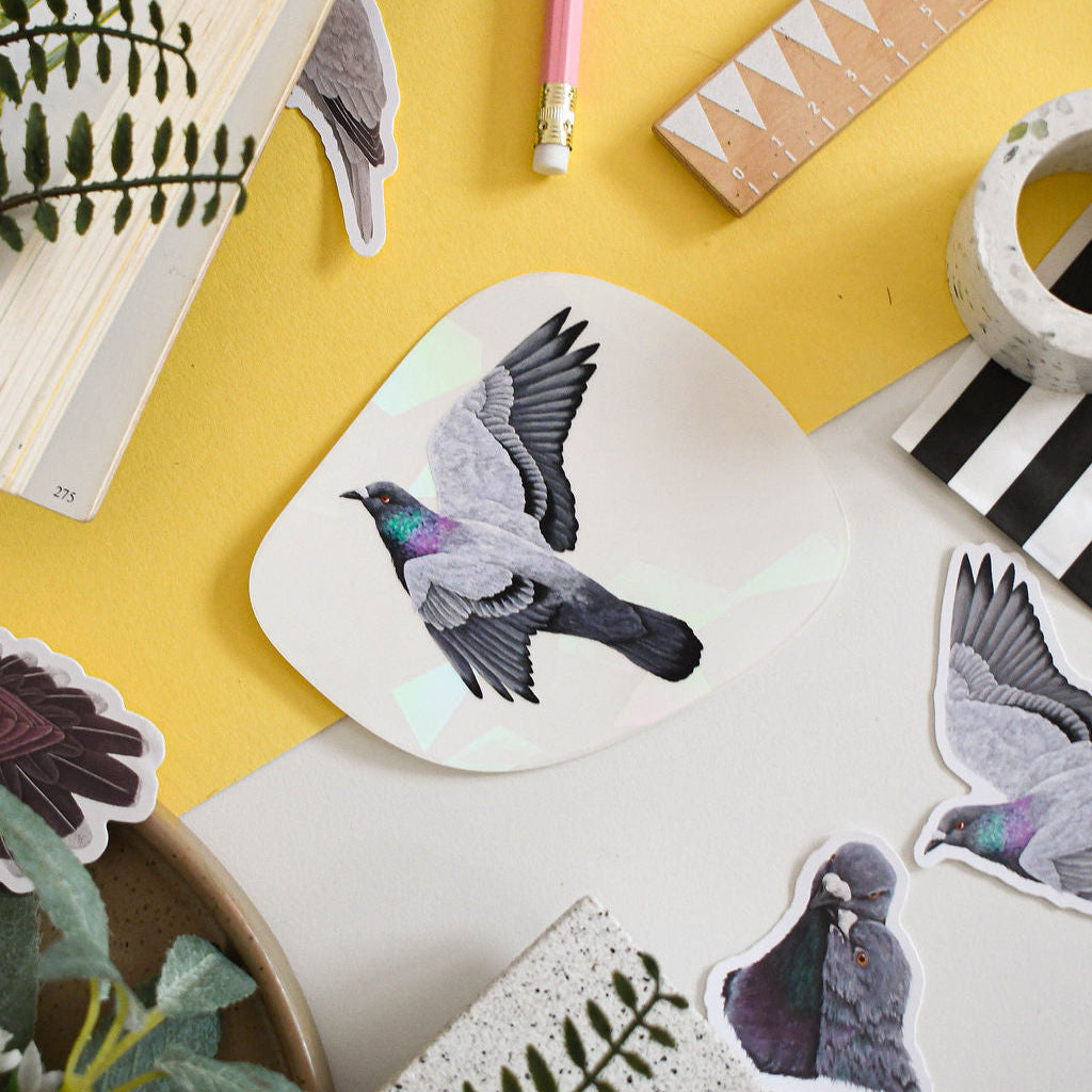 pigeon suncatcher decal on yellow background surrounded by pigeon stickers