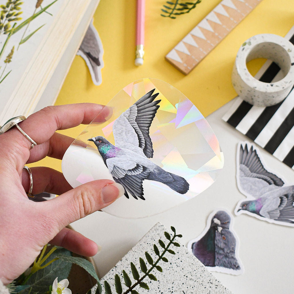 Rock dove pigeon suncatcher decal held over a yellow background surrounded by pigeon stickers