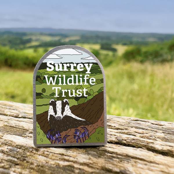 Eco-Metal pin for surrey wildlife trust with a badger illustration by ferne creative
