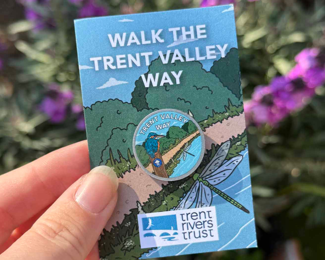 Illustrated Trent Valley Way eco metal pin with kingfisher on backing card by Ferne creative 