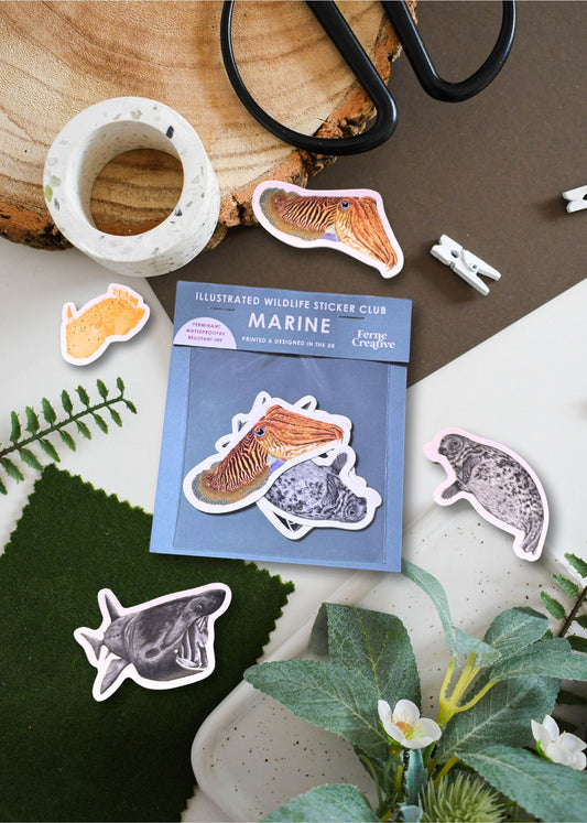 British Marine Wildlife Sticker Pack – July Edition
