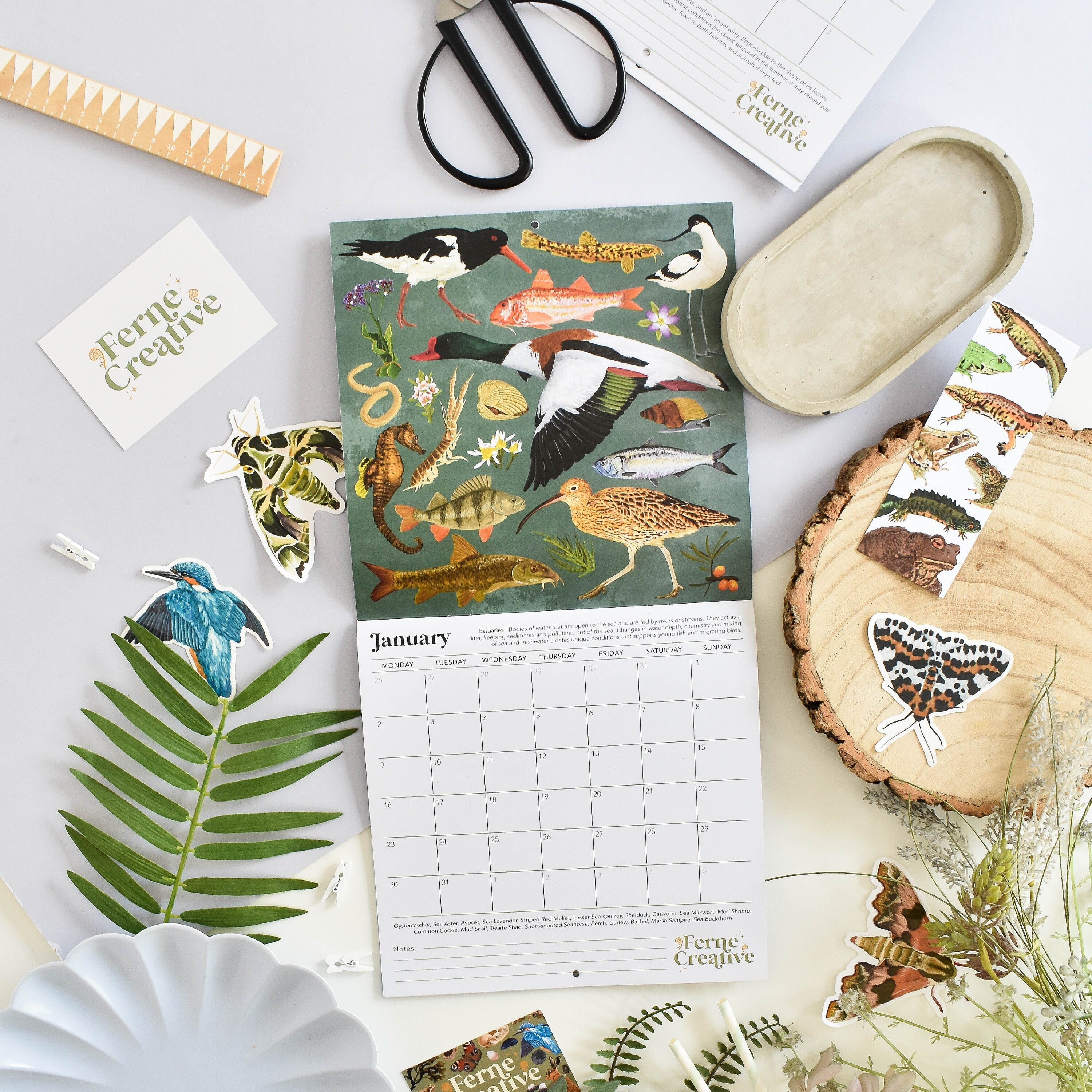 Open square Wall calendar with estuary wildlife illustrations of shelduck, wading birds and fish. Surrounded by wildlife stickers. 