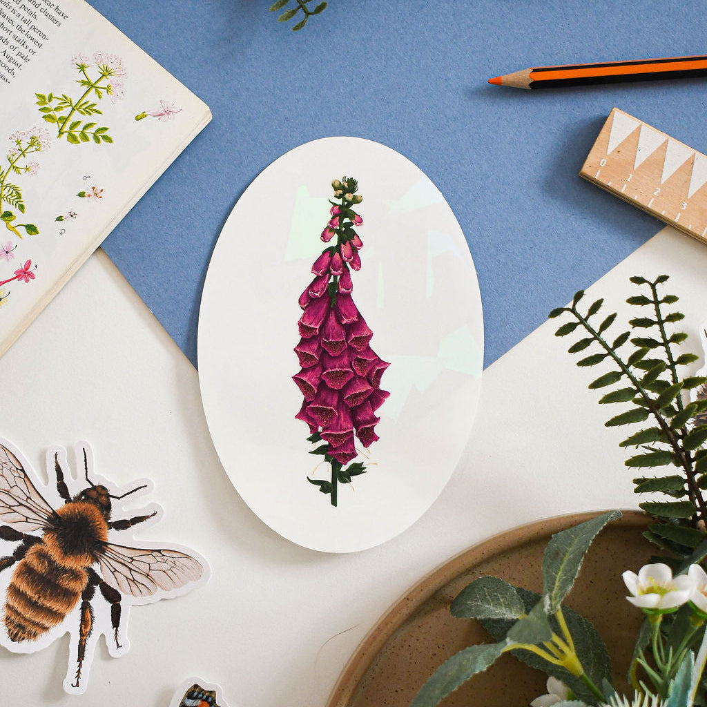 Wild foxgloves suncatcher window decal on blue background with stickers and flower guide