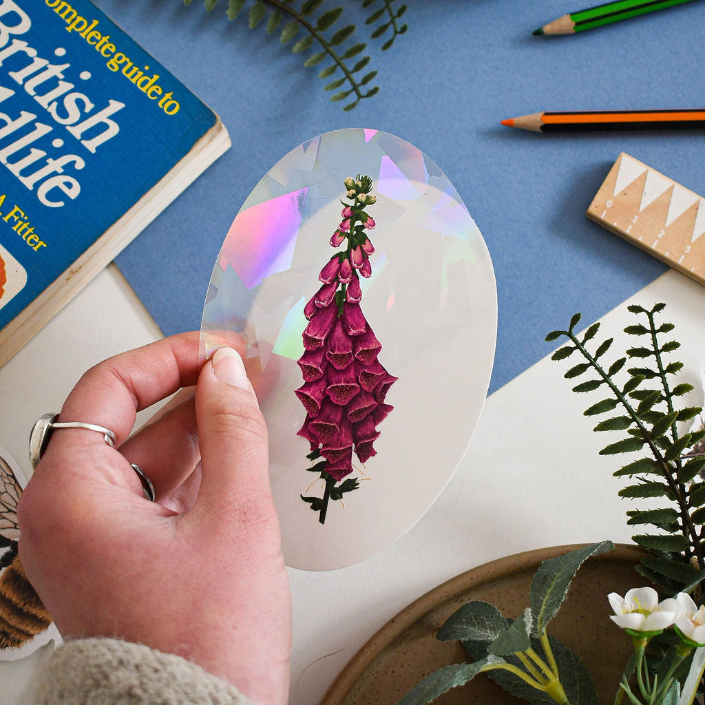 Wild foxgloves suncatcher window decal held over a blue background with british wildlife guide