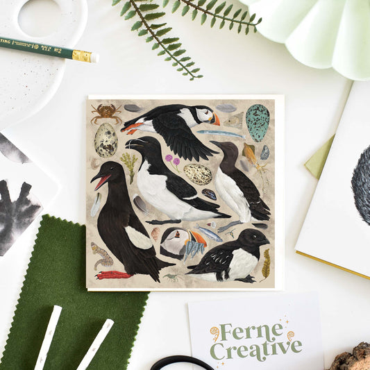 Auk Seabird Greetings Card