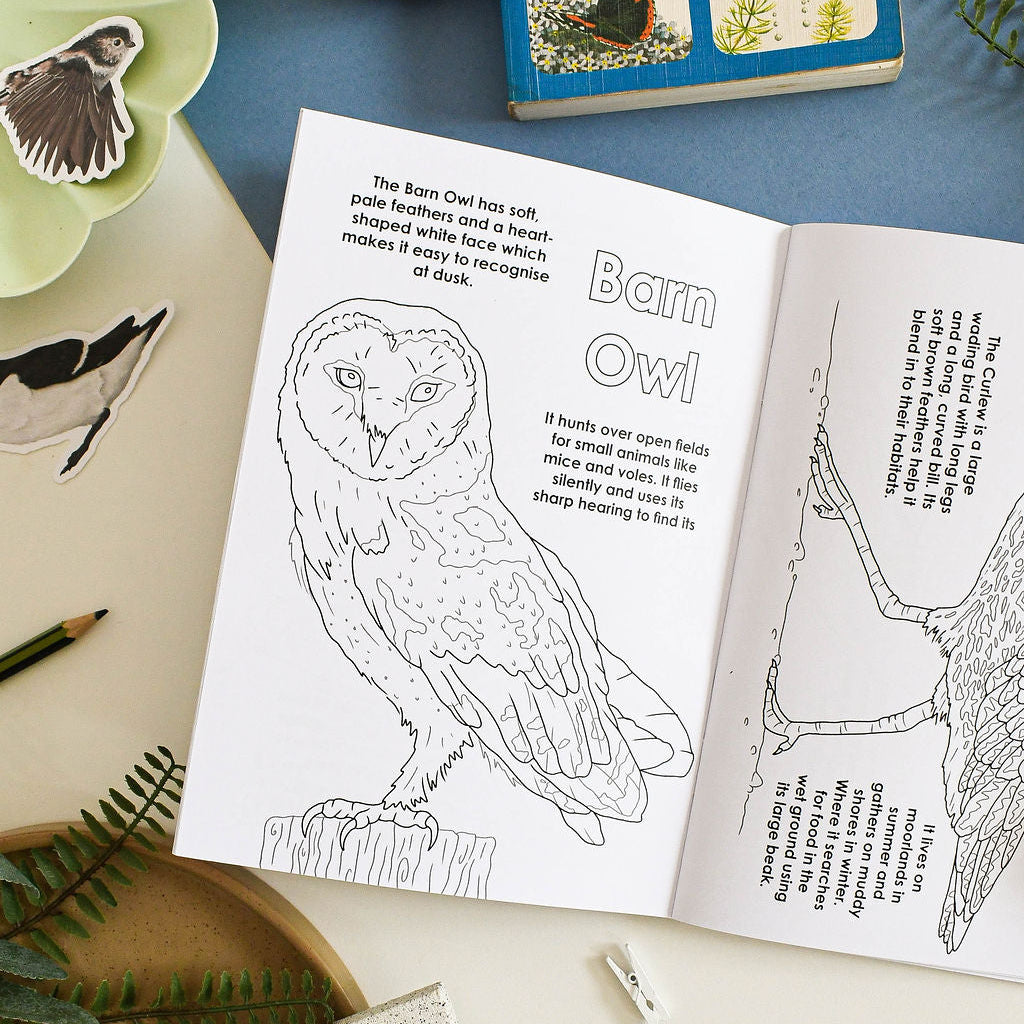 Open book with a coloring page of a barn owl on a table with stationery items.
