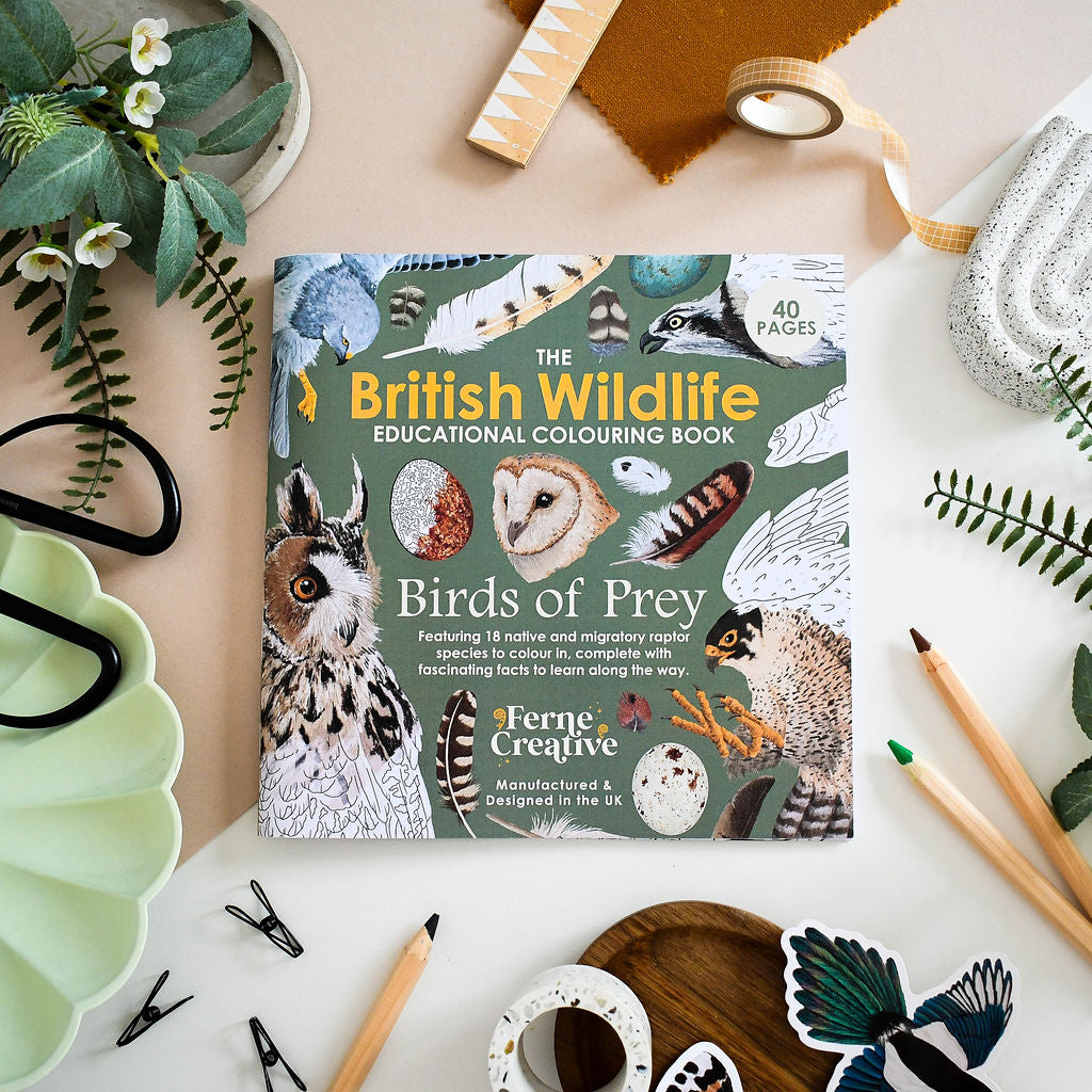 A coloring book titled 'British Wildlife Educational Colouring Book Birds of Prey' is displayed with coloring pencils, paper clips, and other flat lay items on a beige background.