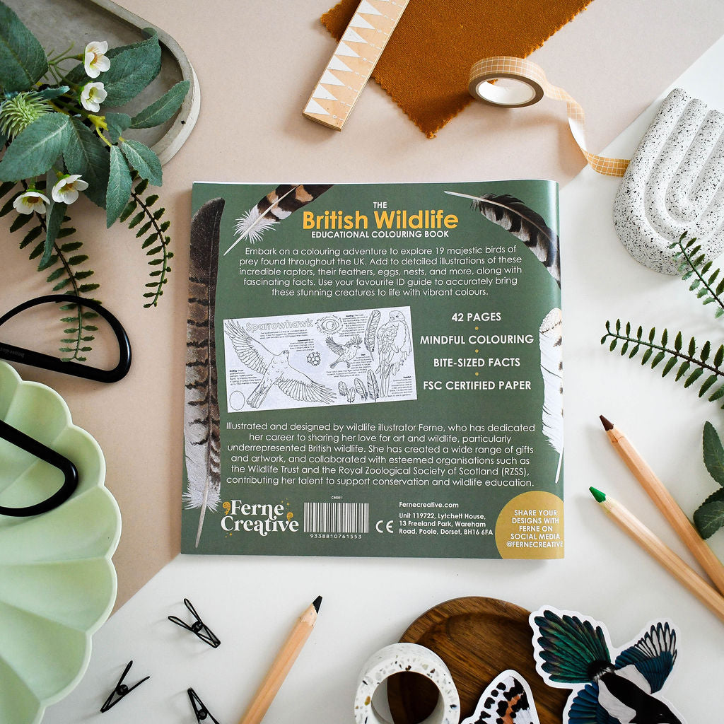 bird of prey colouring book back page with information about the book. surrounded by stationery